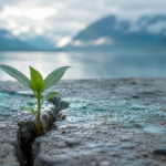 Ein kleiner Keimling, der durch eine Asphaltschicht bricht, als Symbol für Resilienz und psychische Widerstandskraft.